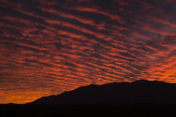 Sunrise