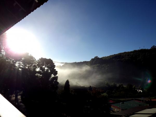 Sunrise, Fog and Forest