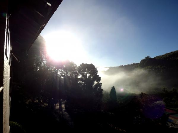 Sunrise, Fog and Forest