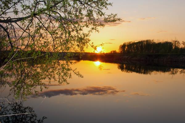 sunset