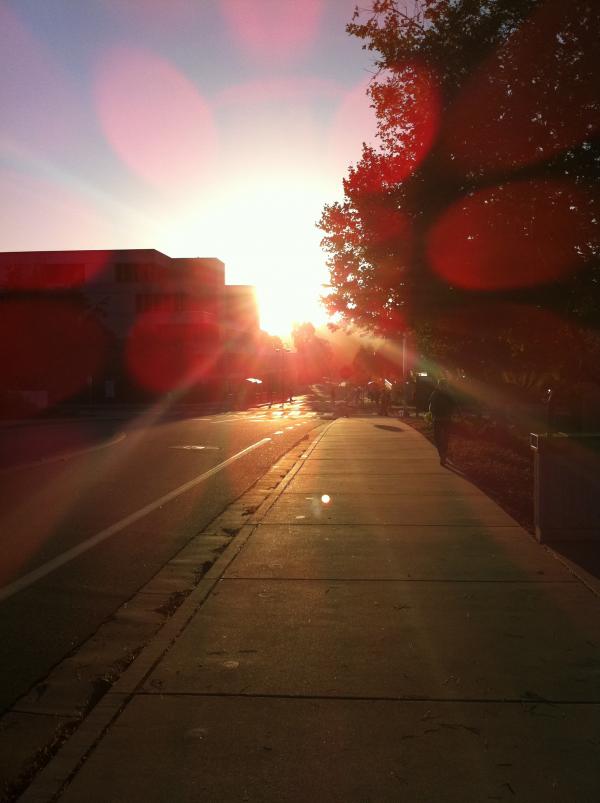 Sunset