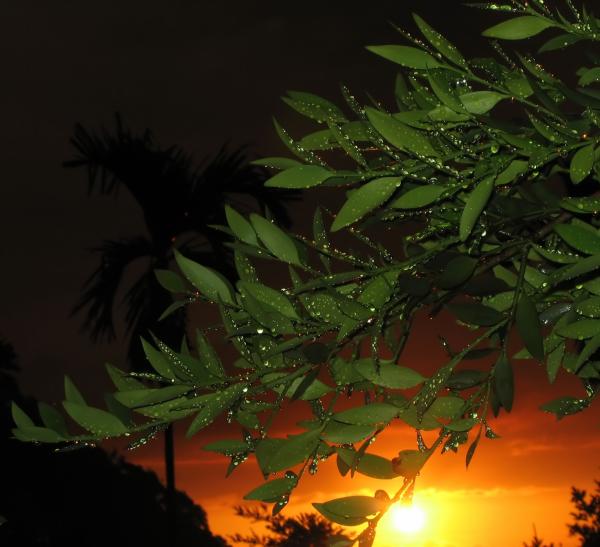 Sunset after the Rain