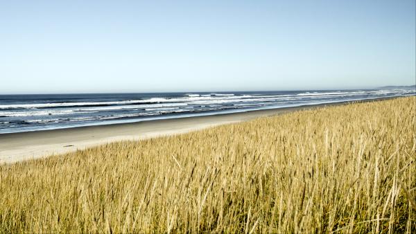 Sunset Beach, Oregon