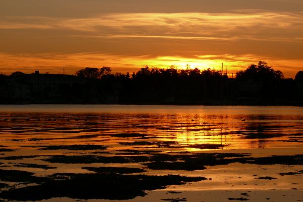 Sunset by the Ocean
