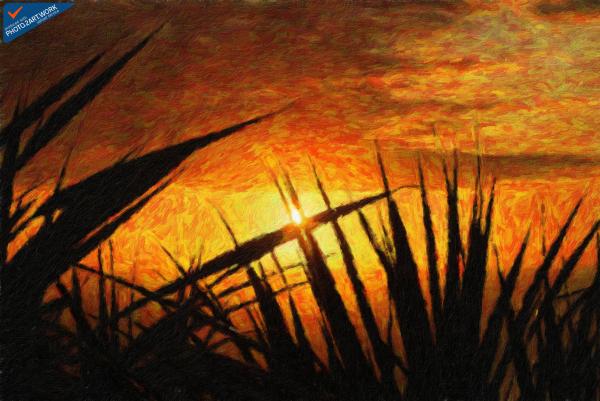 Sunset - ID: 16235-142759-7161