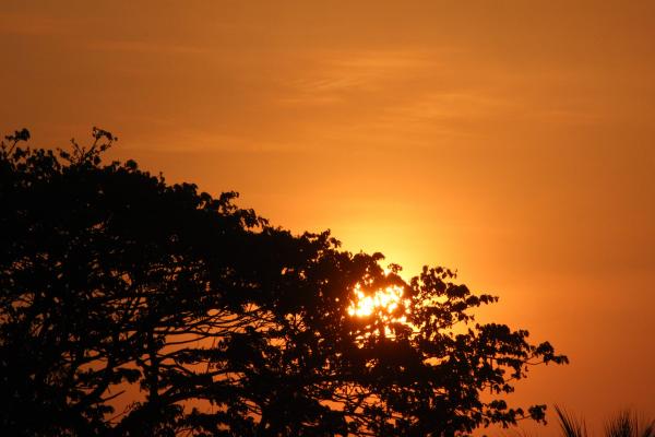Sunset Illustration