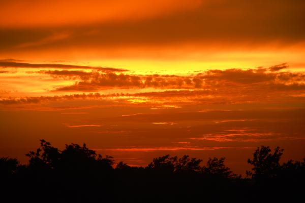 SunSet (semisarah.com)