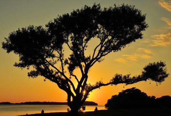 Sunset Shade
