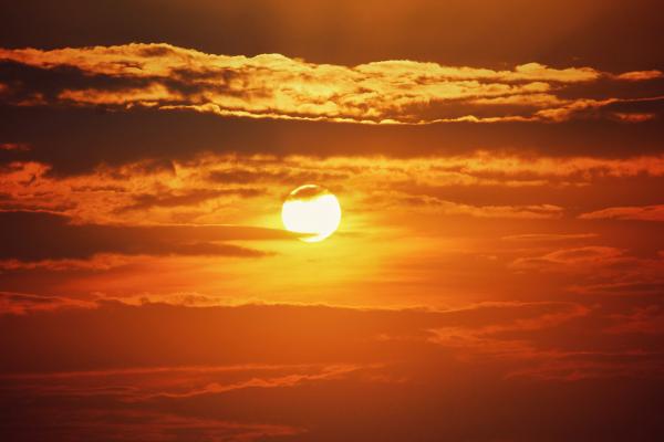 Sunset View