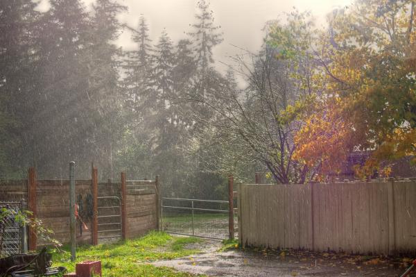 SunShower