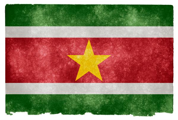 Suriname Grunge Flag