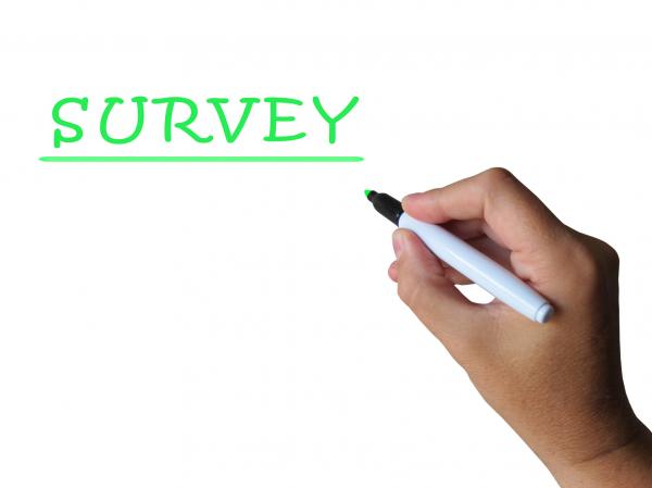 Survey Word Means Collecting Information From Sample