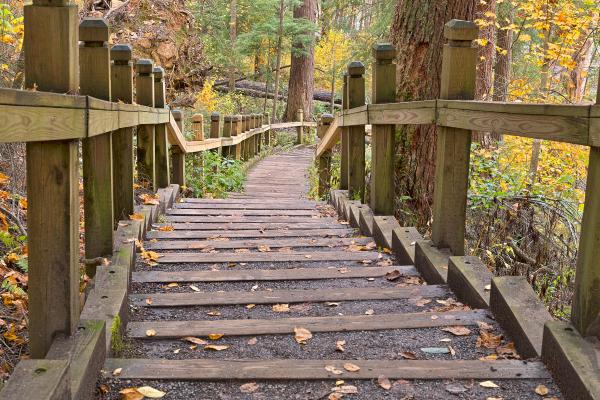 Swallow Fall Stairway - HDR