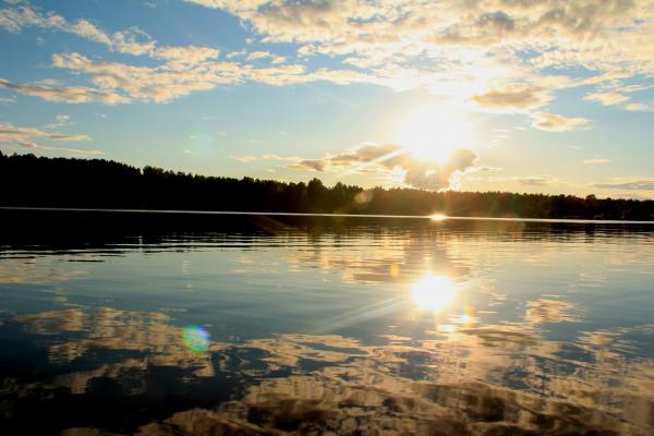 Swedish Summer