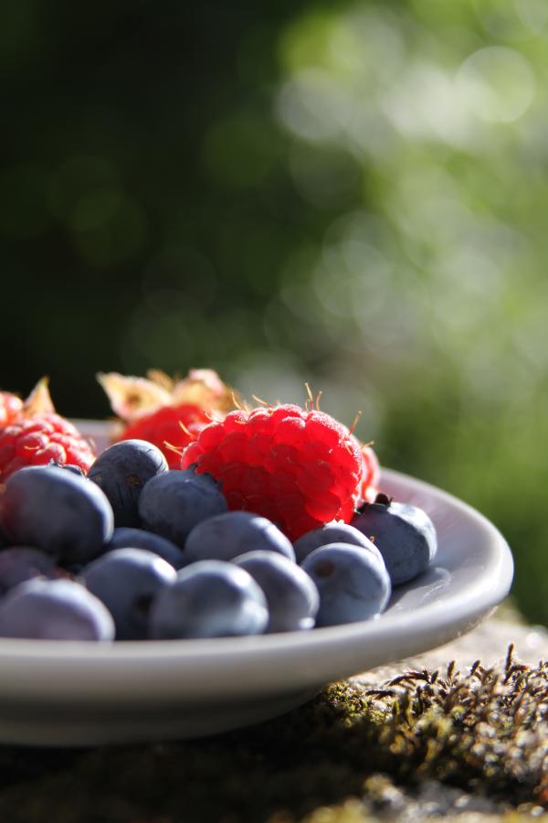 Sweet Fruits