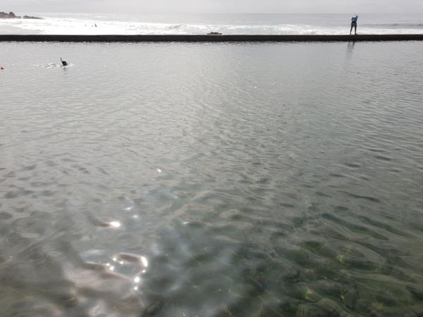 Swimmers in the peaceful bay