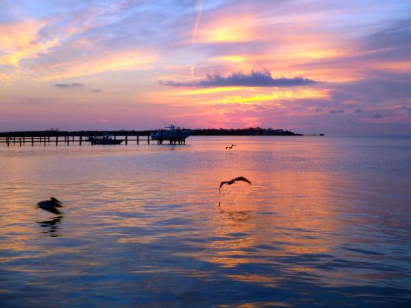 Swirly Sunset