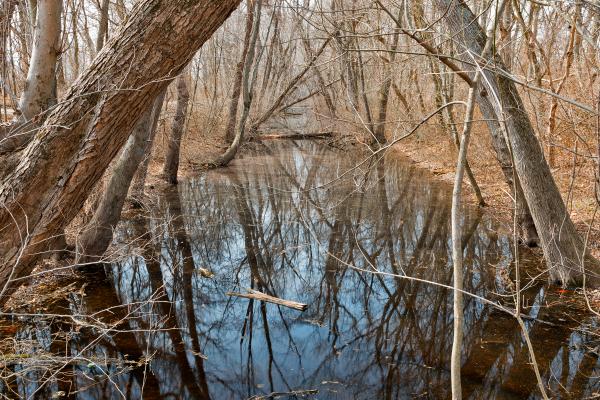 Sycamore Landing Creek