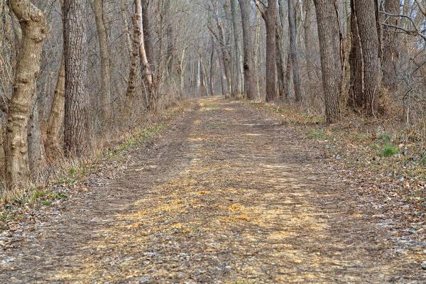Sycamore Landing Trail - HDR