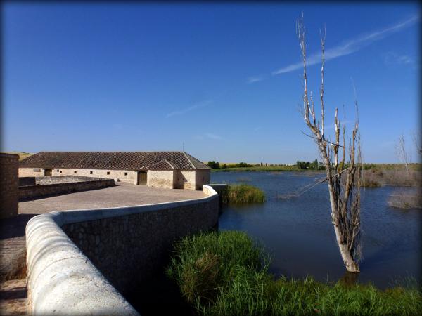 TABLAS DE DAIMIEL, (CIUDAD REAL). SPAIN.