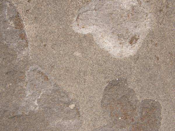Tan Concrete Texture