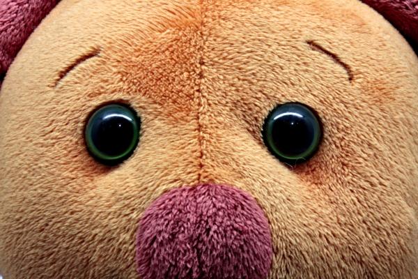 Teddy bear