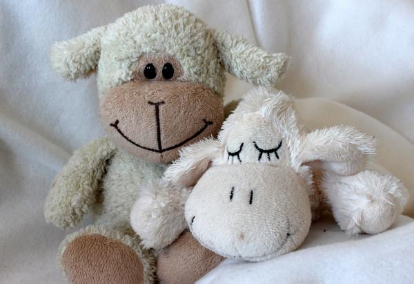 Teddy Bears