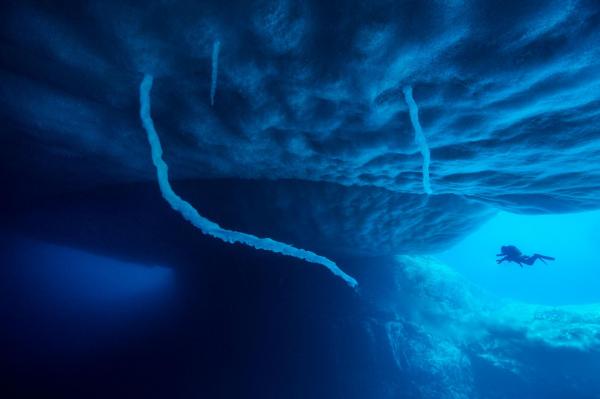 Tendrils of ice