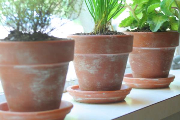 Terracotta pots