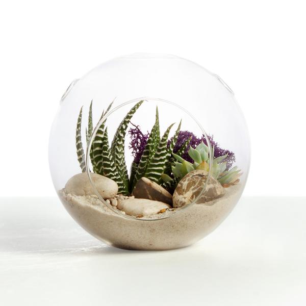terrarium