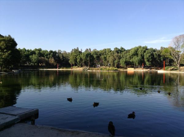 Tezozomoc Park
