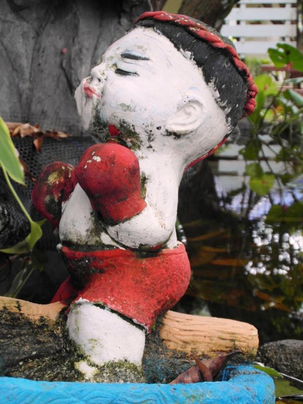 Thai Boxer