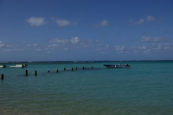 The beach
