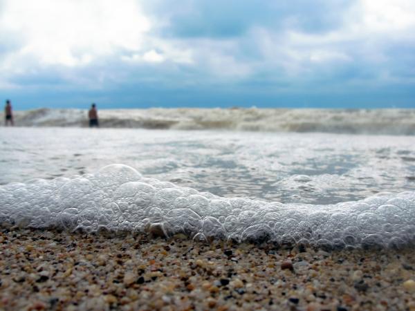 The Beach