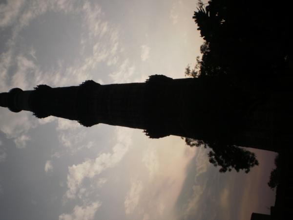 The beauty of natue