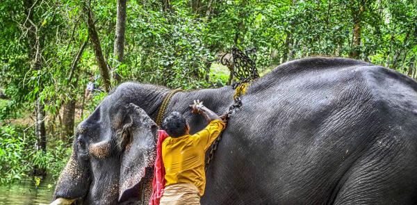 The big black boy likes wearing chain