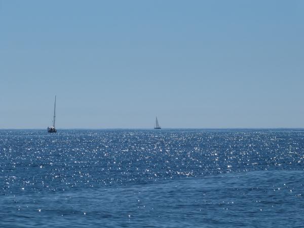 The big blue
