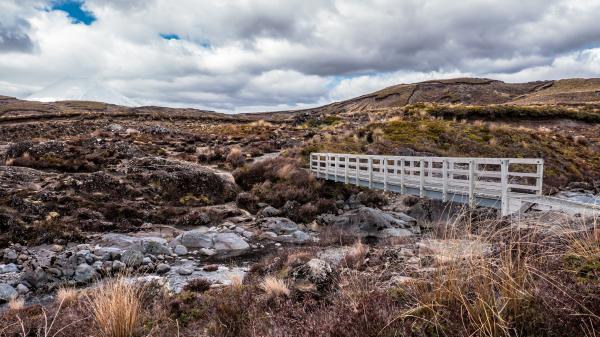 The Bridge to the other end