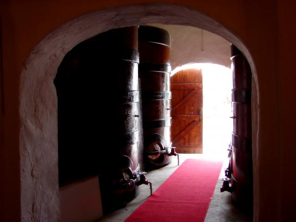 The cellar