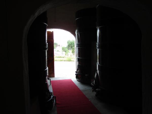 The cellar
