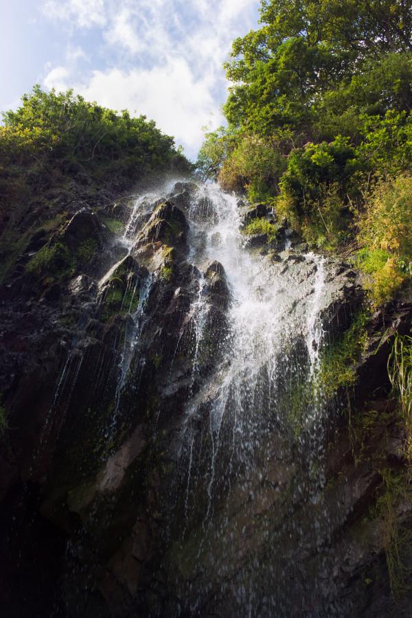 The Clovelly Fall