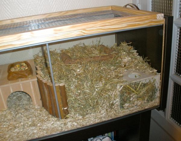The digging area