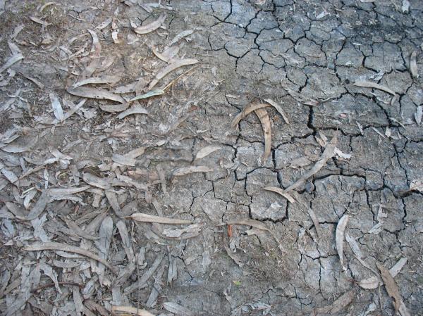 The Dirty Ground
