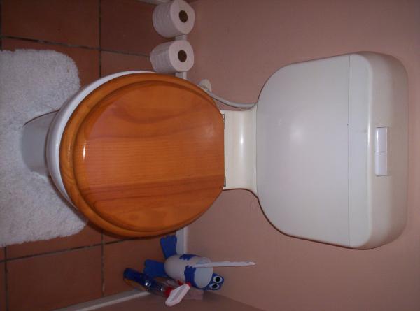 The Dunny