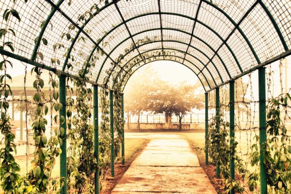 The Entrance