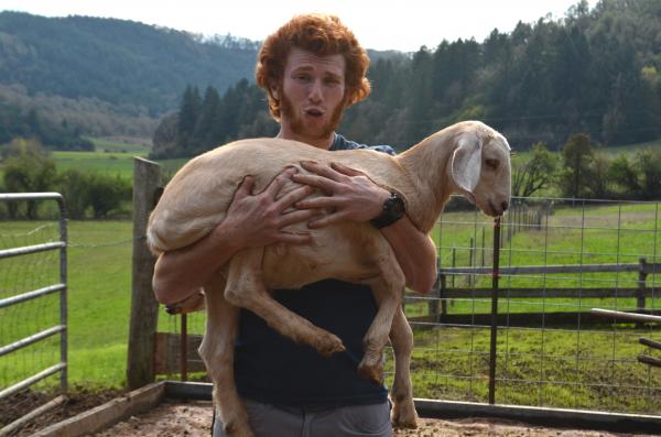 The farm life