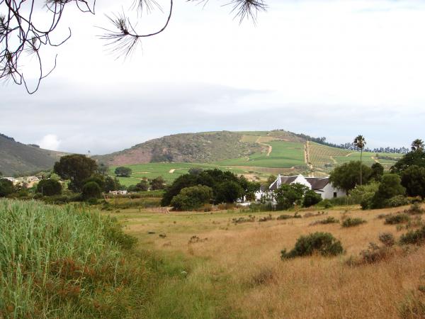 The farm