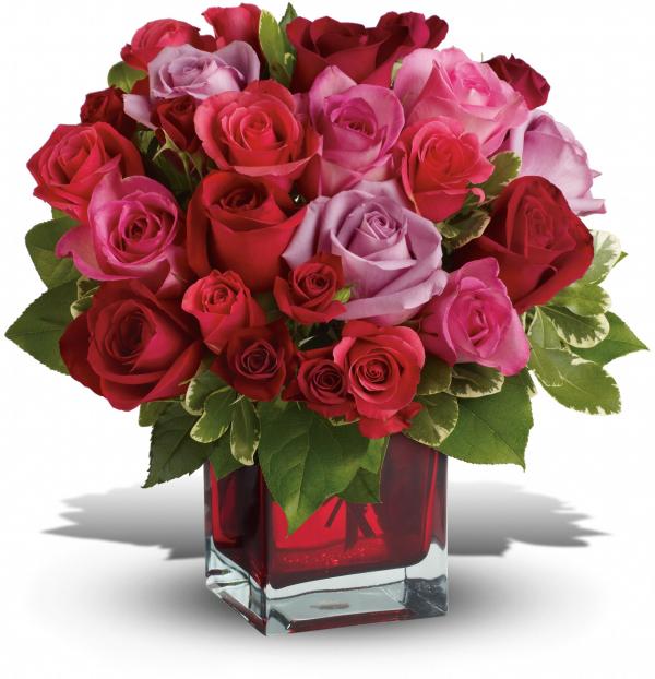 The Flowers
