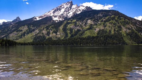 The Grand Tetons