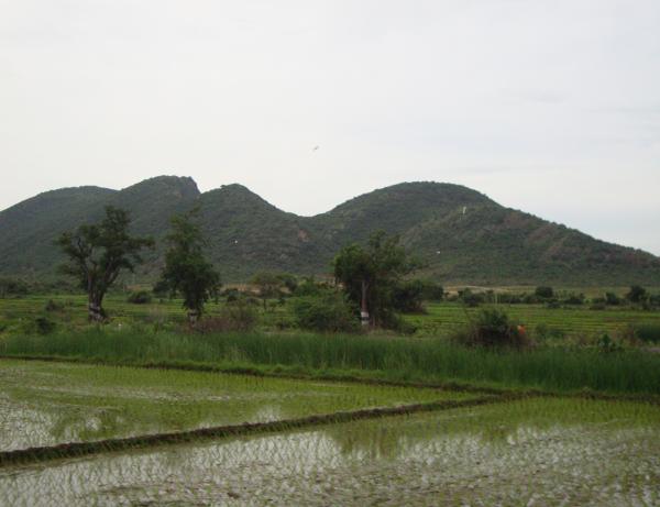 The Green Beauty of India